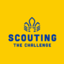 Scouting The Challenge